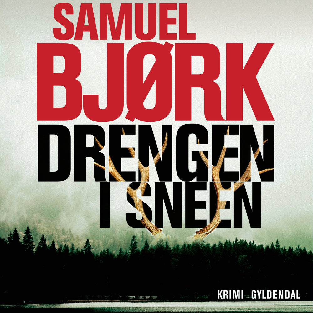 Drengen i sneen