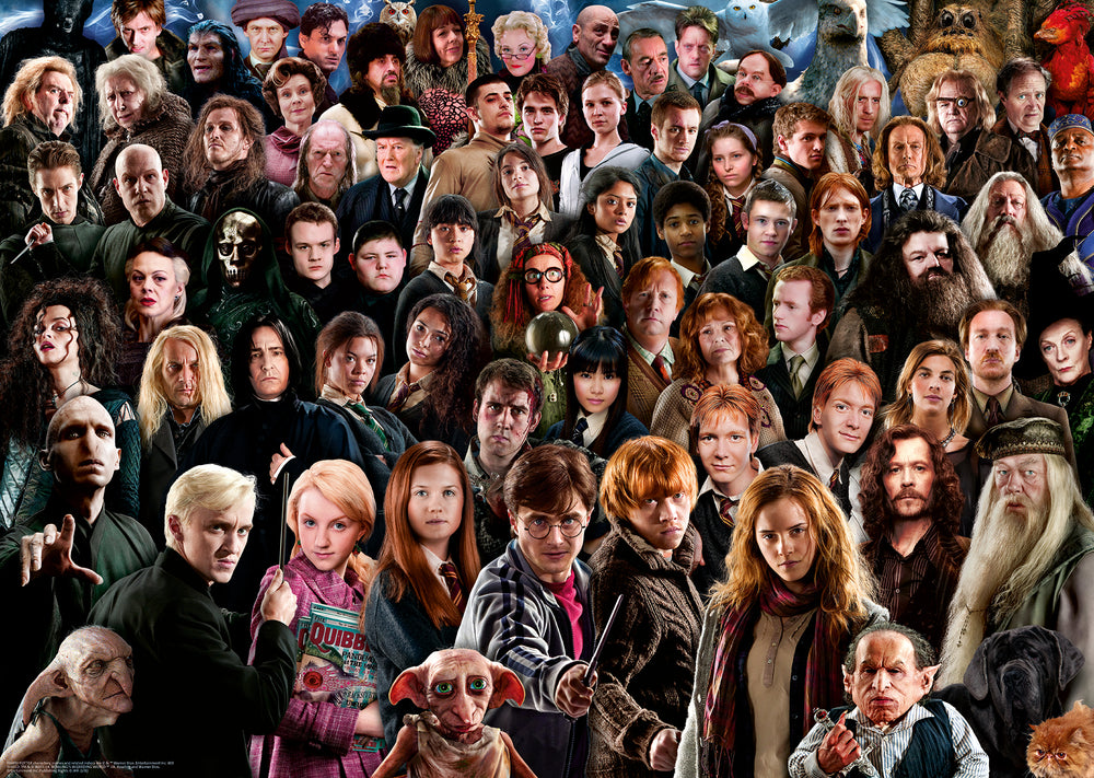 Puslespil Challenge Harry Potter 1000 brikker