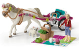 Small carriage for the big horse show