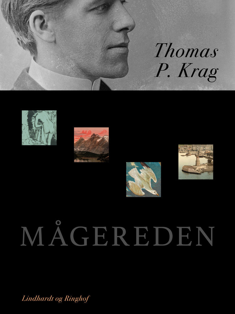 Mågereden
