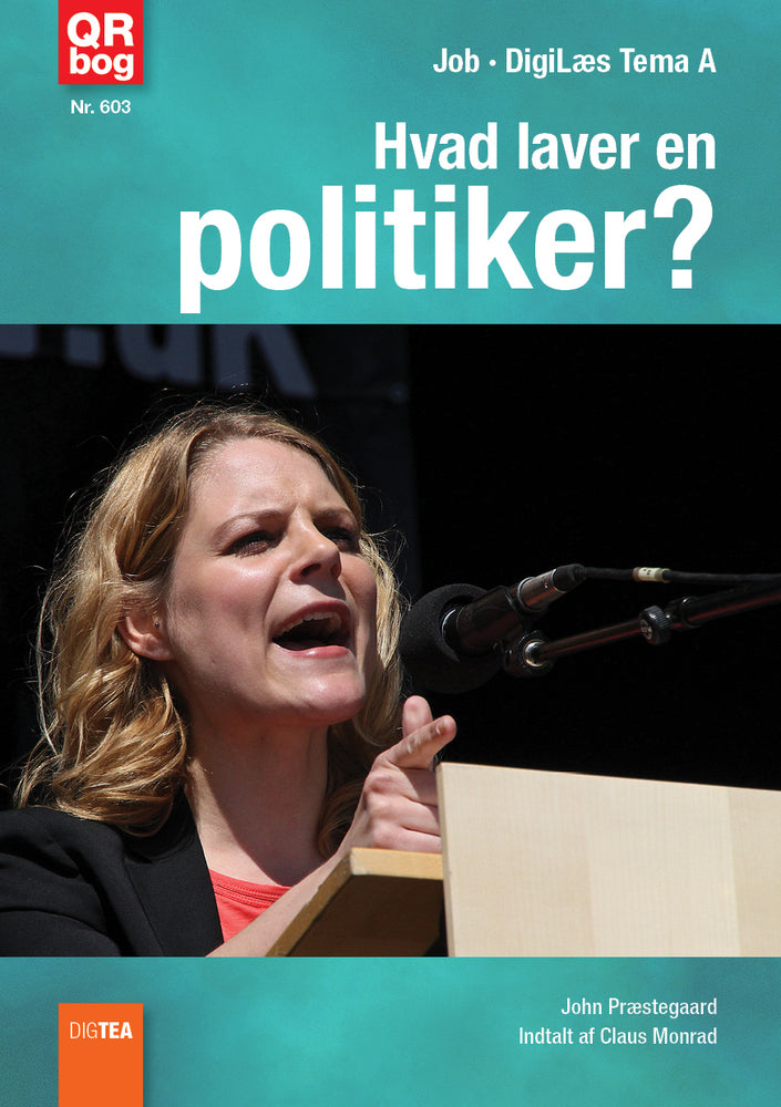 Hvad laver en politiker?