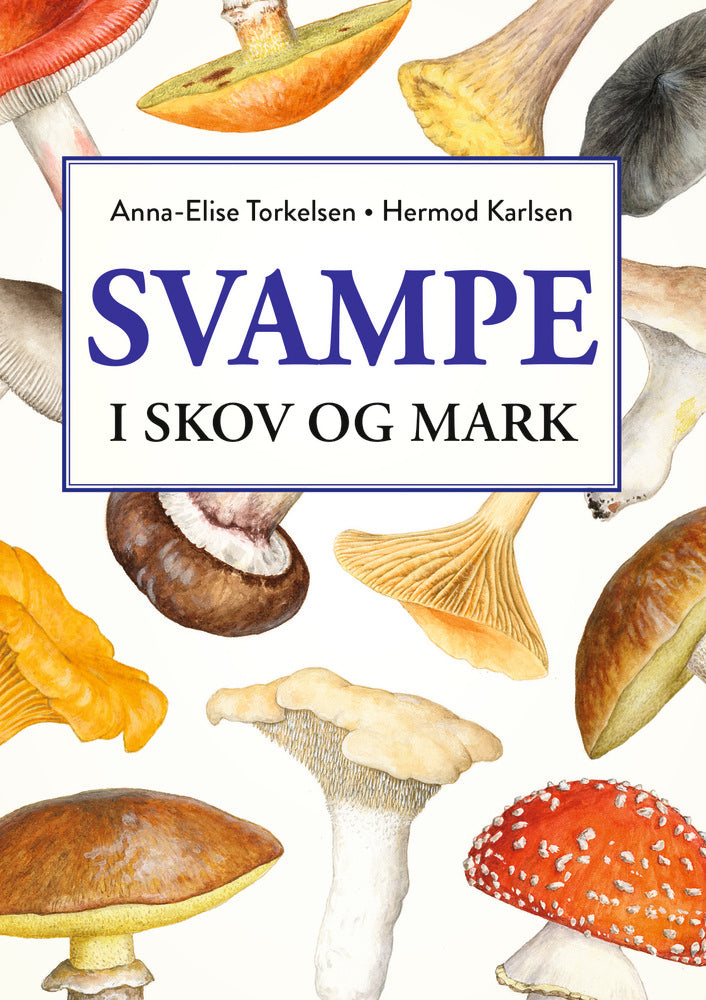 Svampe i skov og mark