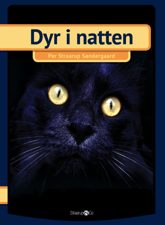 Dyr i natten