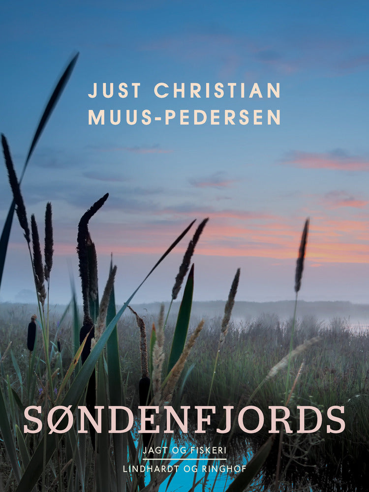Søndenfjords