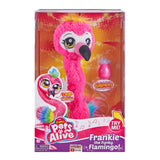 PetsAlive Frankie the Funky Flamingo
