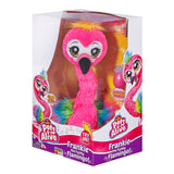 PetsAlive Frankie the Funky Flamingo