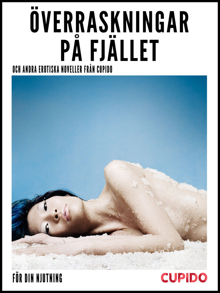 Överraskningar på fjället  – och andra erotiska noveller från Cupido