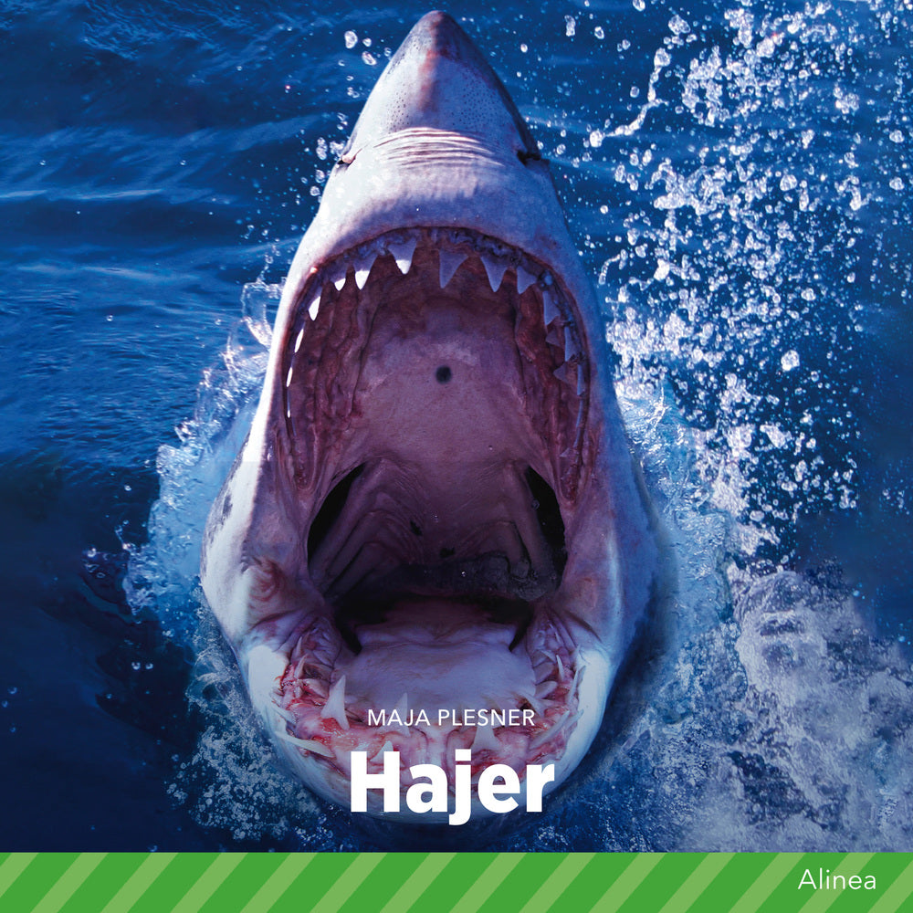 Hajer