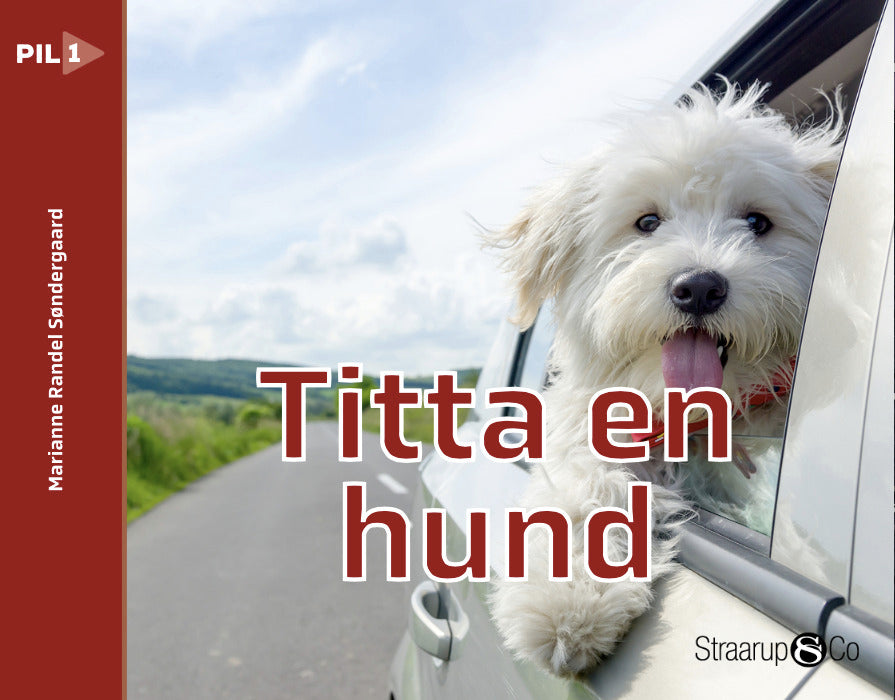 Titta en hund (svensk)