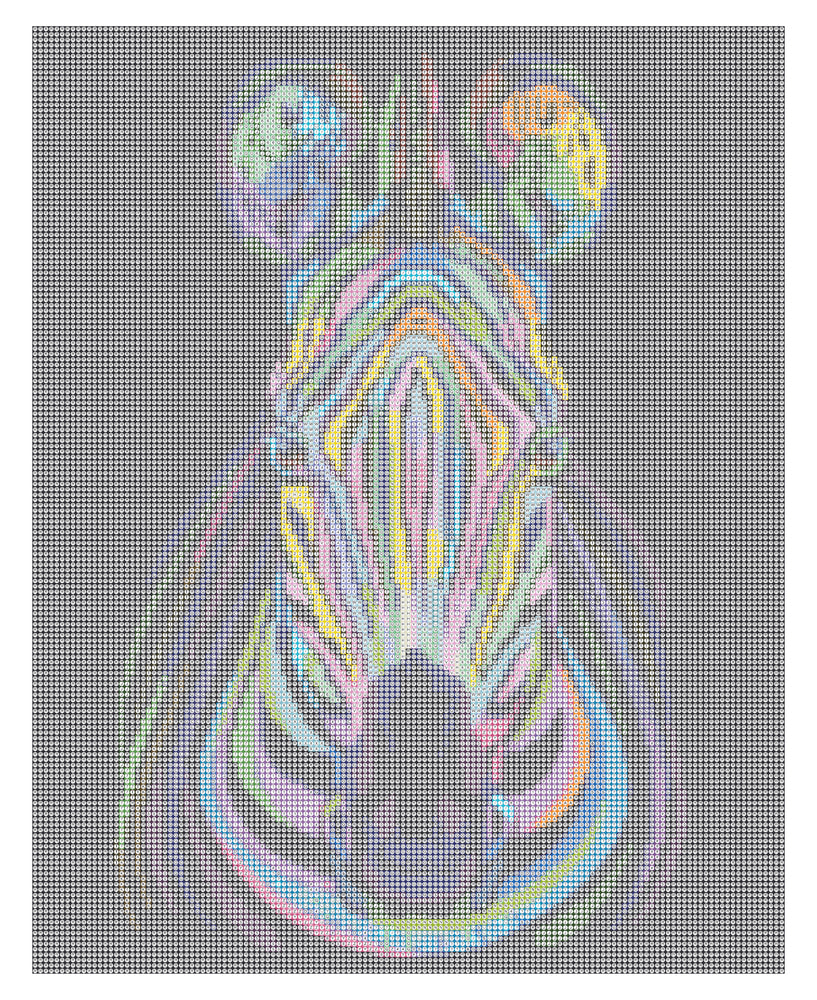 Diamond Art lærred zebra 40x50 cm