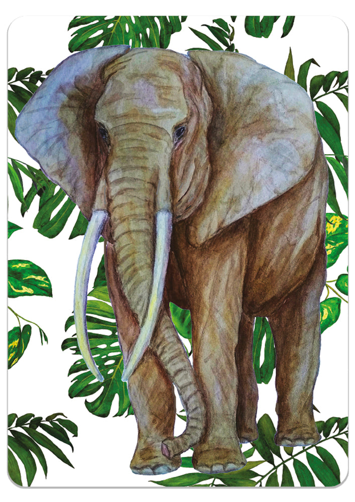 Diamond Art elefant, blade 13x18 cm