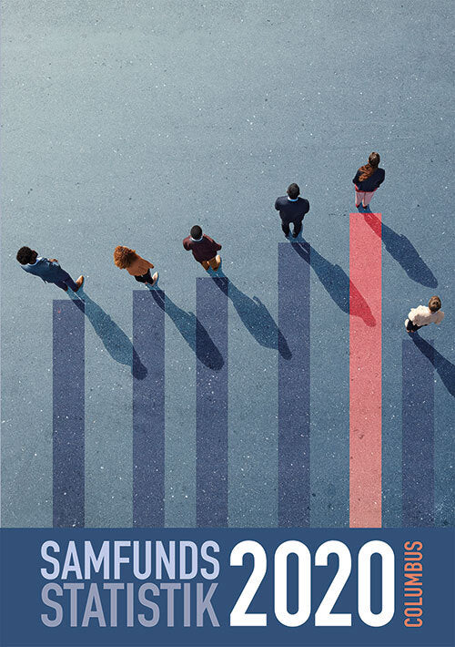 Samfundsstatistik 2020