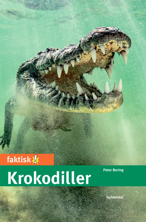 Krokodiller