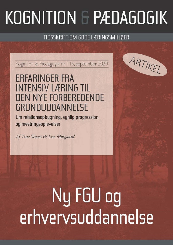 Erfaringer fra intensiv læring til den nye Forberedende Grunduddannelse