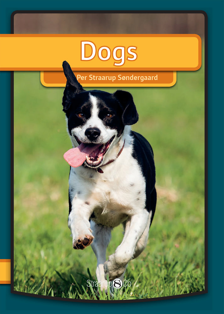 Dogs