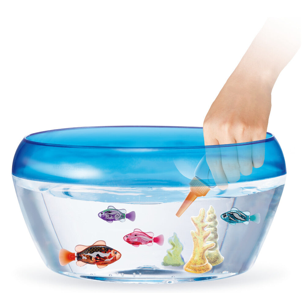 Fish bowl med 1 Robo Fish