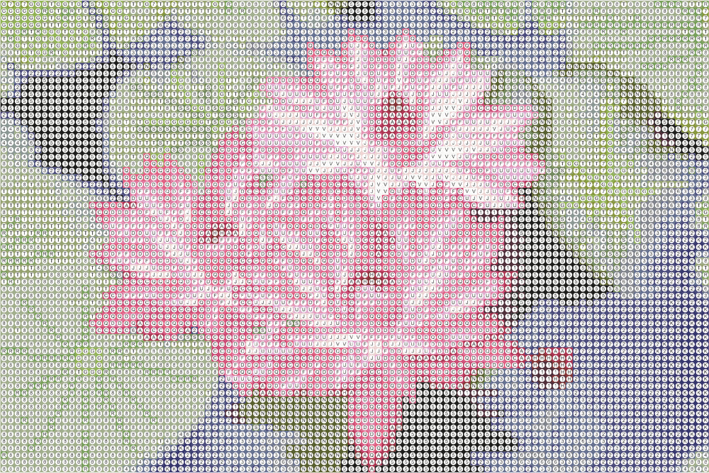 Diamond Art lærred åkande 30 x 20 cm