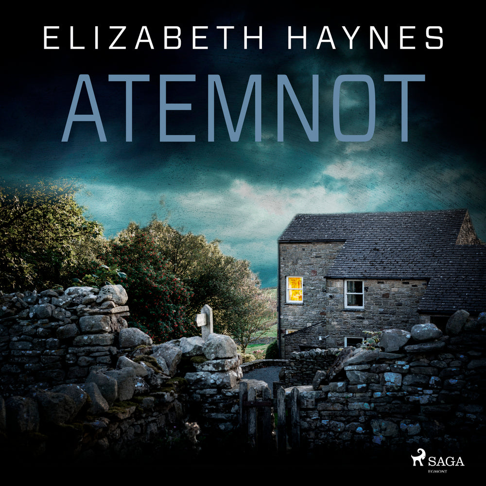 Atemnot: Thriller (DCI Lou Smith 1)