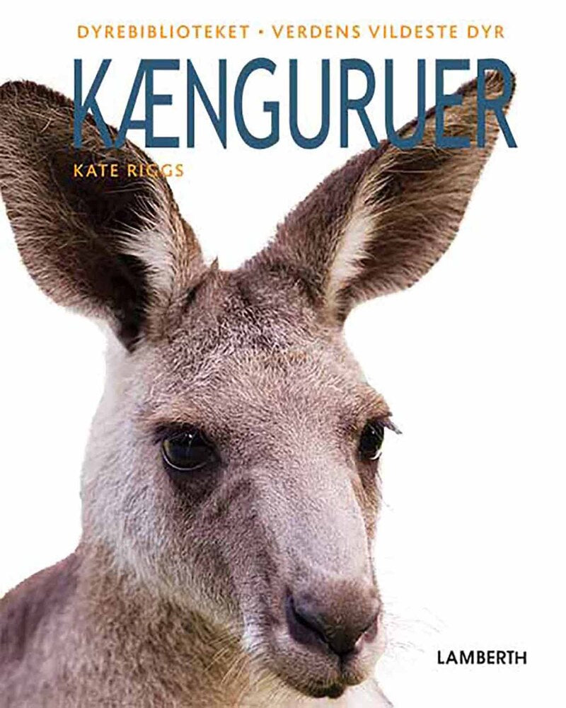 Kænguruer