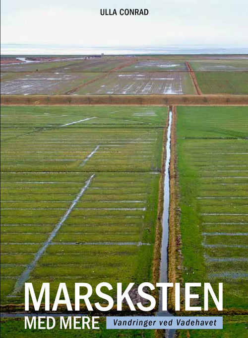 Marskstien