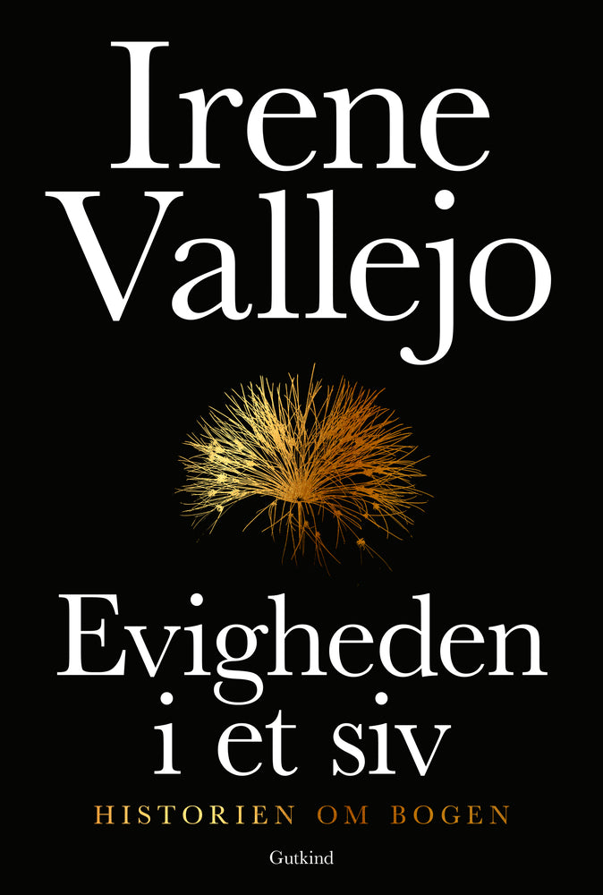 Evigheden i et siv