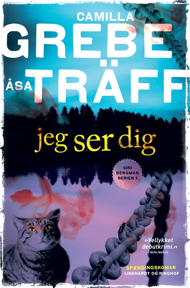 Jeg ser dig