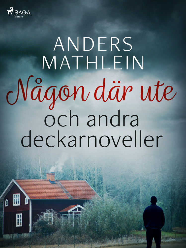 Någon där ute och andra deckarnoveller
