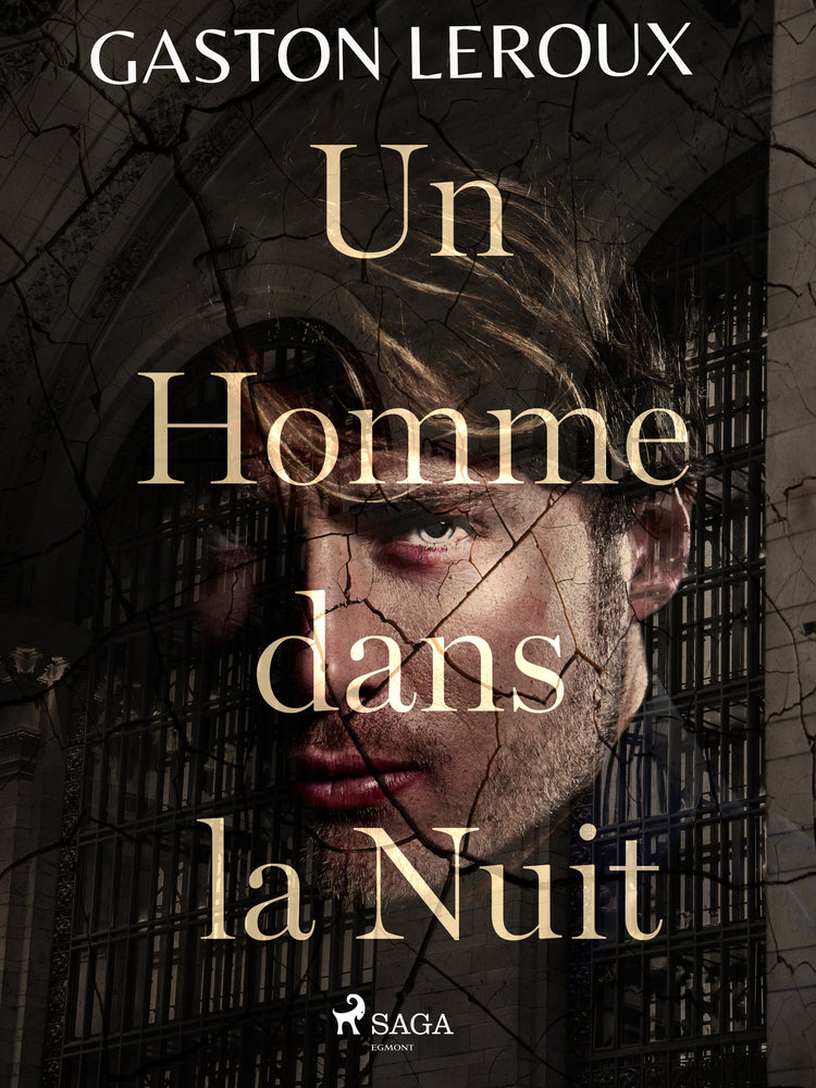 Un Homme dans la Nuit