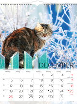 Vægkalender katte 2022 29,5 x 39 cm Mayland
