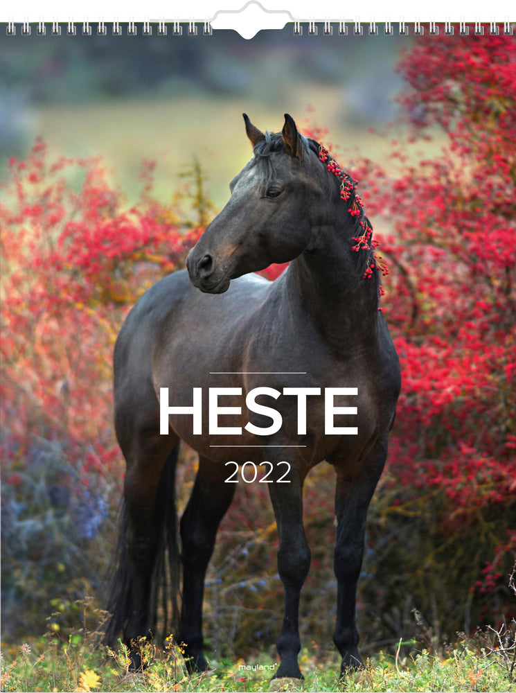 Vægkalender heste 2022 29,5 x 39 cm Mayland