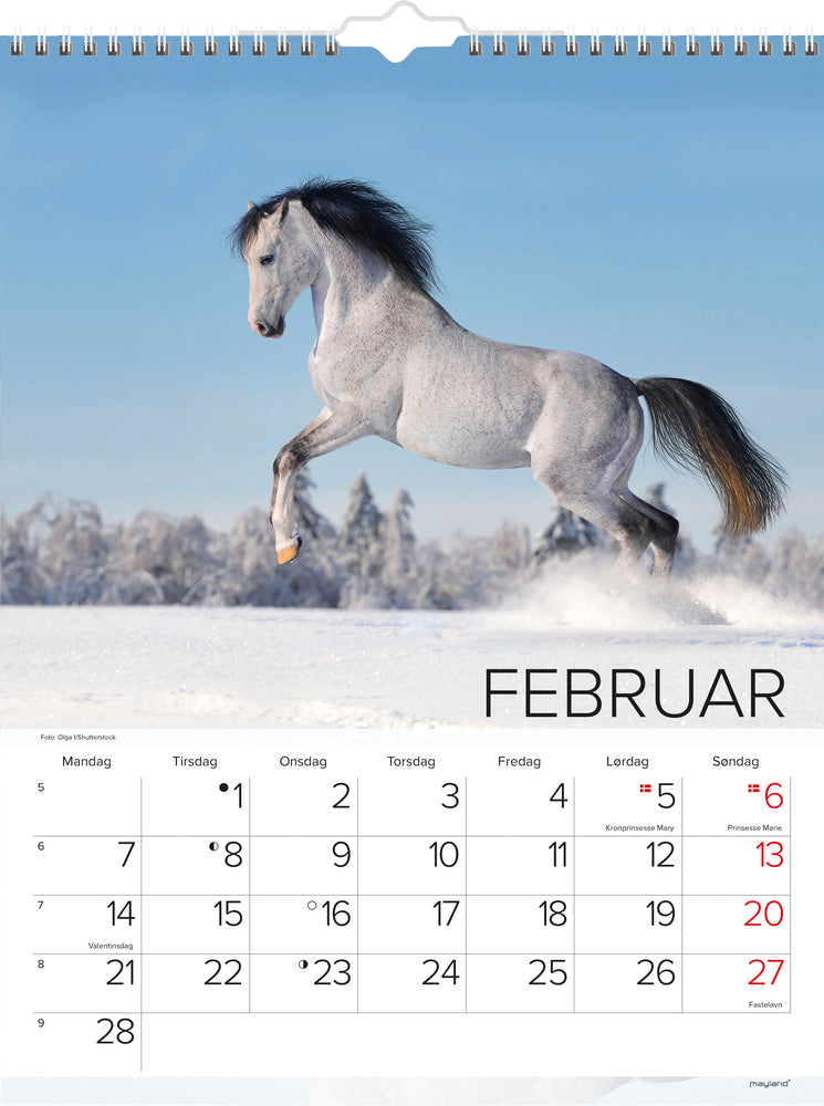 Vægkalender heste 2022 29,5 x 39 cm Mayland