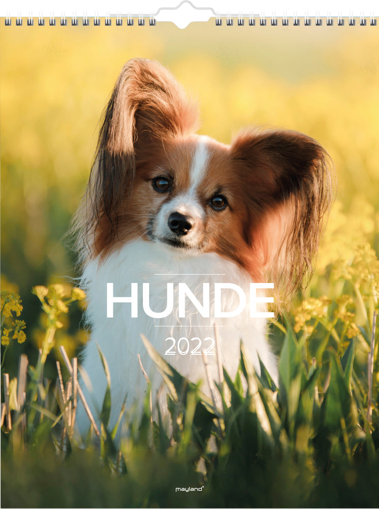 Vægkalender hunde 2022 29,5 x 39 cm Mayland