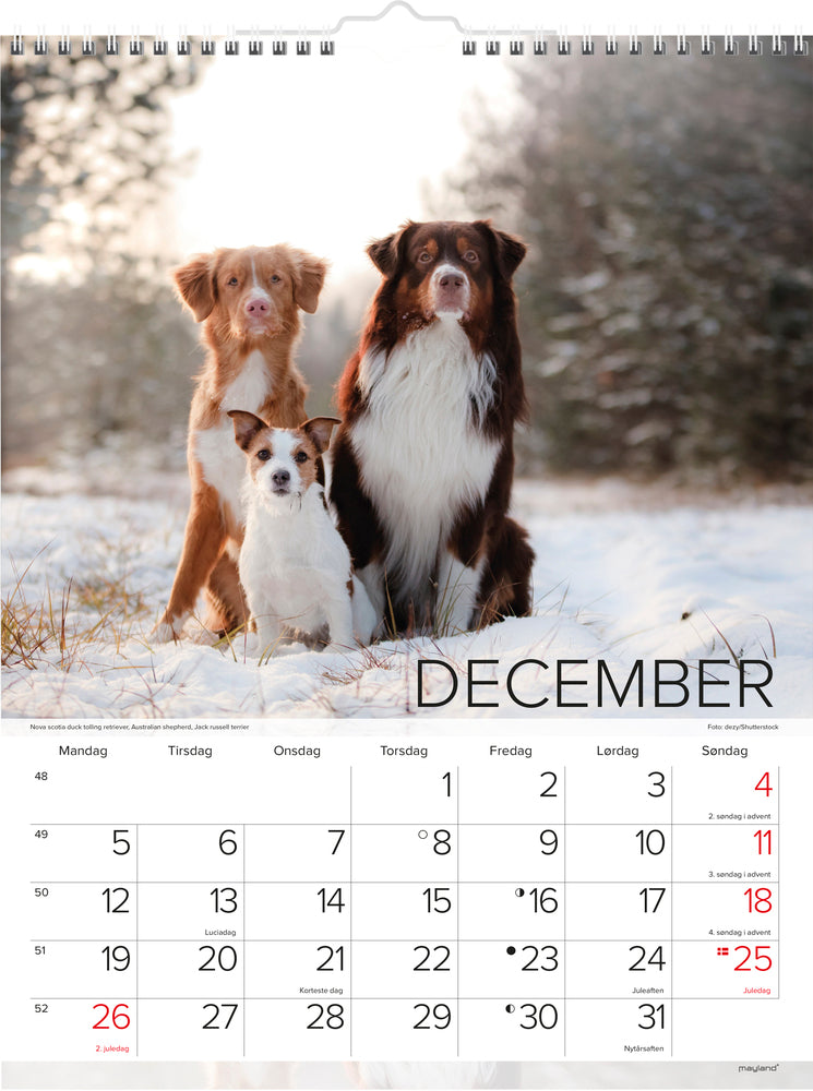 Vægkalender hunde 2022 29,5 x 39 cm Mayland