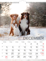Vægkalender hunde 2022 29,5 x 39 cm Mayland
