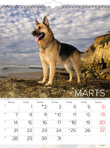 Vægkalender hunde 2022 29,5 x 39 cm Mayland