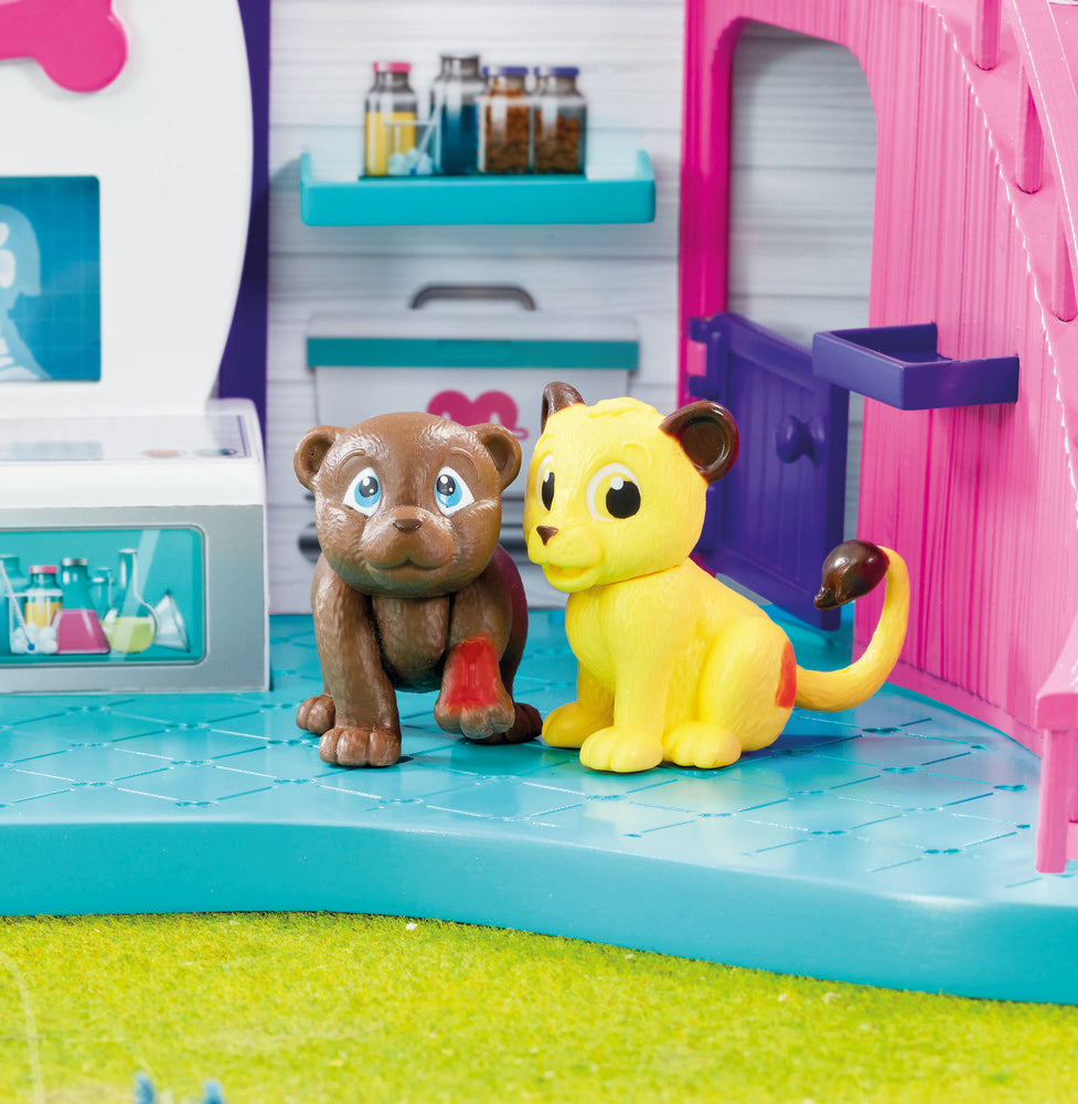 Vet Surgery Hospital