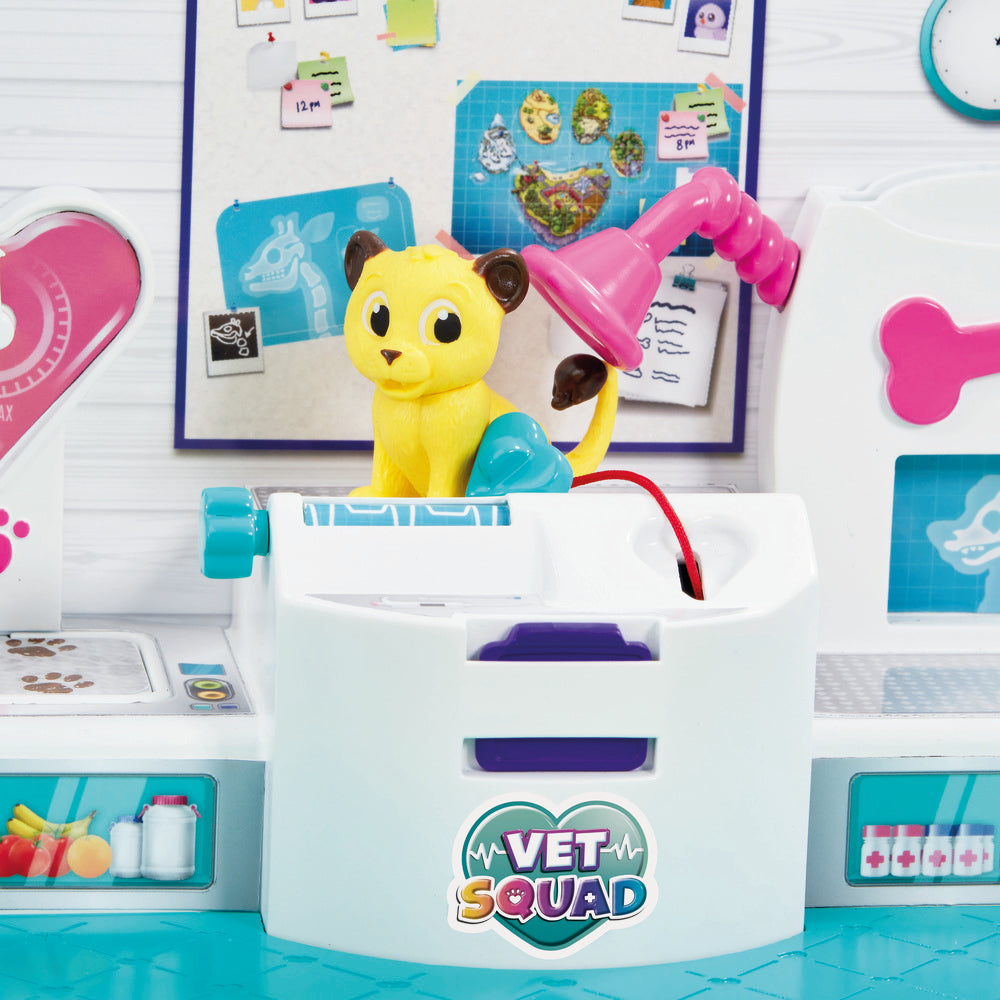 Vet Surgery Hospital