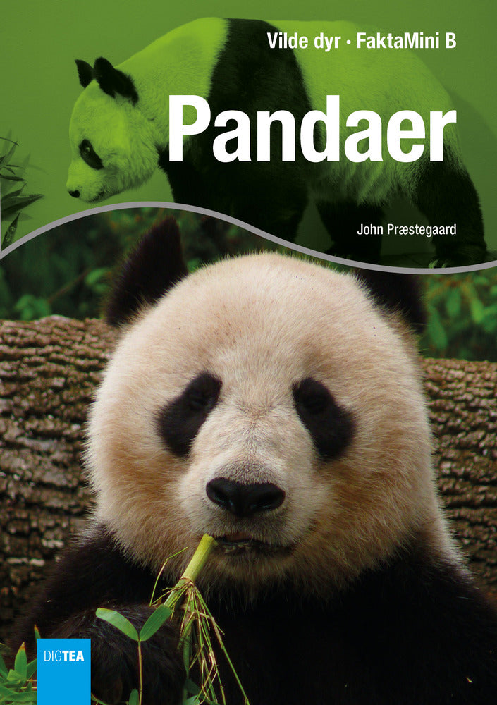 Pandaer