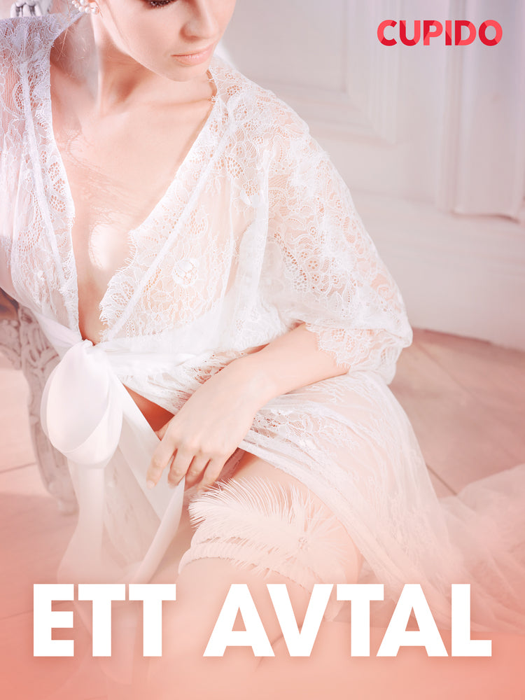 Ett avtal - erotiska noveller