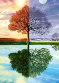 Puslespil The seasons tree 500 brikker
