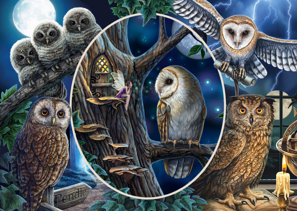 Puslespil Mysterious owls 1000 brikker