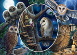 Puslespil Mysterious owls 1000 brikker
