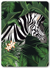 Diamond Art Zebra/blade 13 x 18 cm