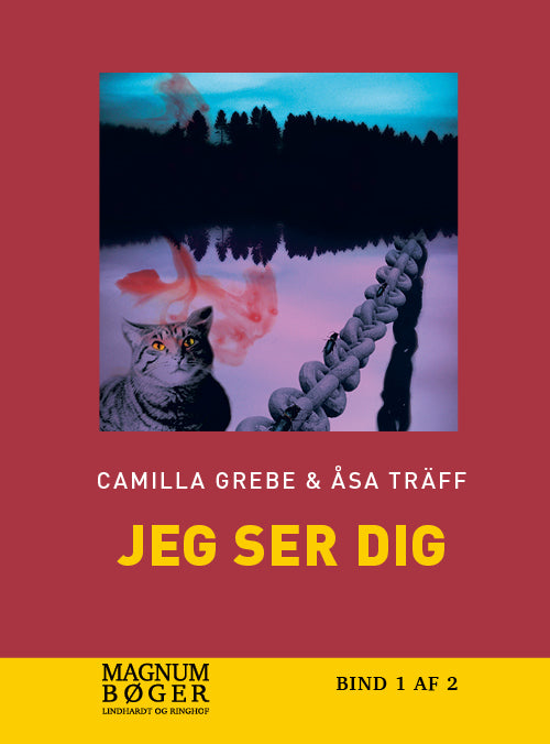 Jeg ser dig (Storskrift)