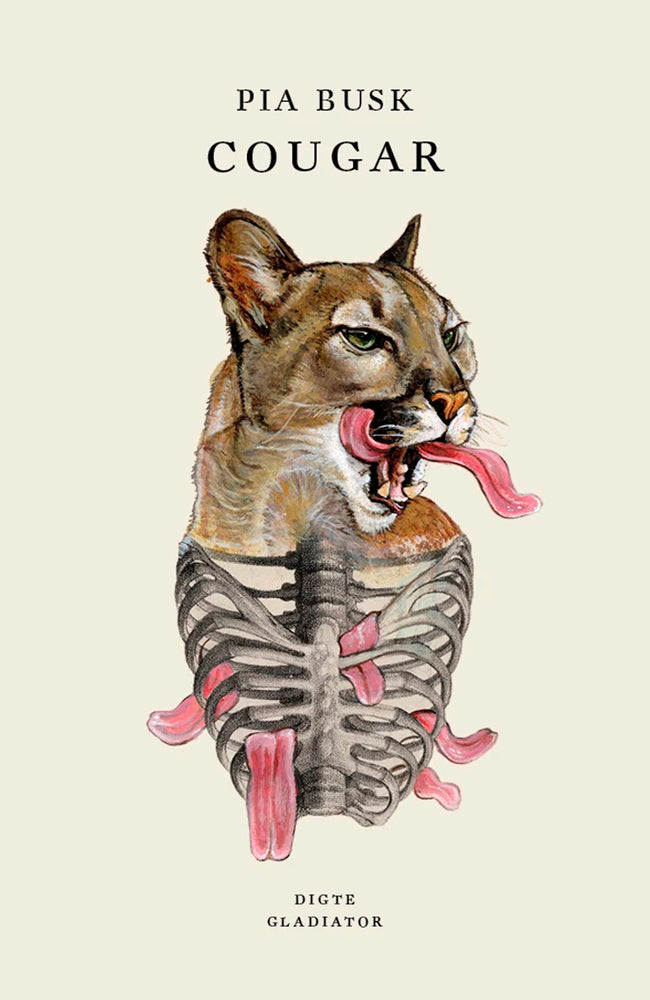 Cougar