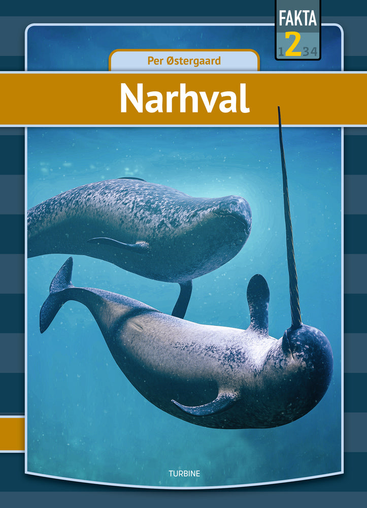 Narhval