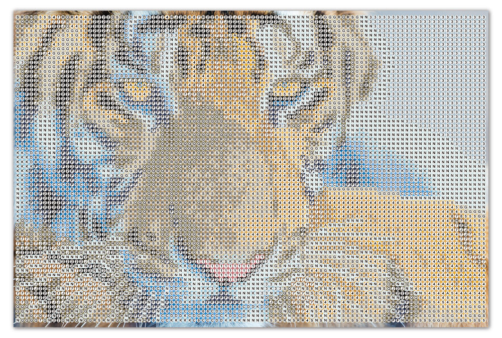Diamond Art tiger ansigt 20 x 30 cm