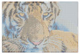 Diamond Art tiger ansigt 20 x 30 cm