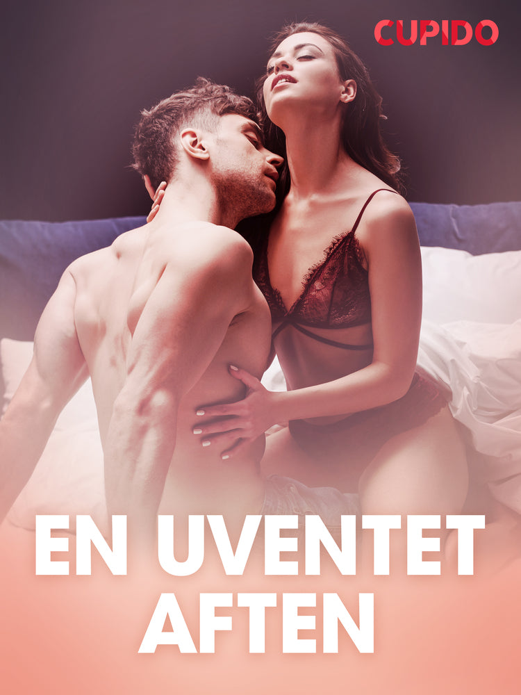 En uventet aften – erotiske noveller
