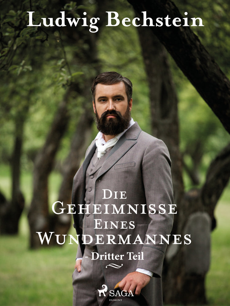 Die Geheimnisse eines Wundermannes - Dritter Teil